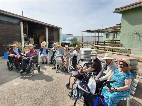 Excursi N Al Invernadero Fundacion San Mateo De Gallego