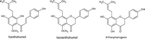 Chemical Structures Of Xanthohumol Xn Isoxanthohumol Ix And