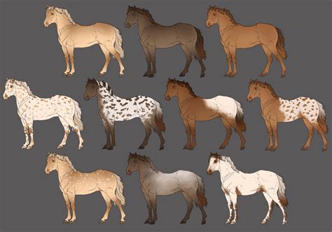Kelowna Warmblood Color Chart Rare By Kelownaadmin On Deviantart