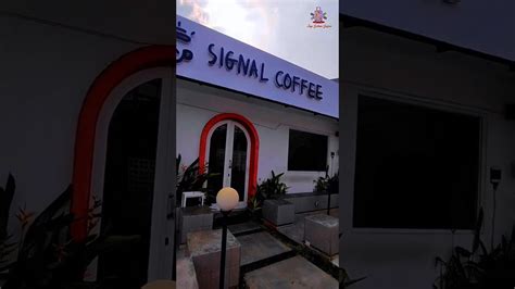 Tempat Ngopi Yang Nyaman Dan Ada Live Musiknya Jadi Makin Asik Serta