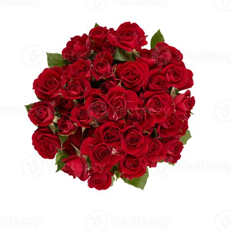 Bouquet Of Red Roses With Thorns Take A Photo From Above With Cut Out