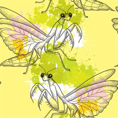 Praying Mantis Camouflage Illustrations, Royalty-Free Vector Graphics ...