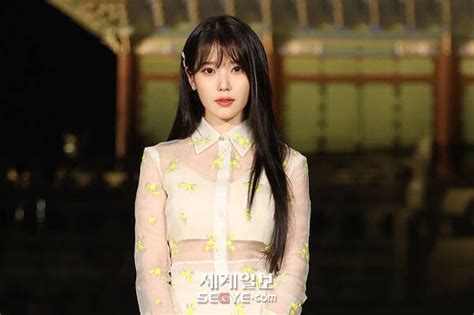 아이유 악의적 표절 고발인 특정손해배상 청구 소송 네이트 연예