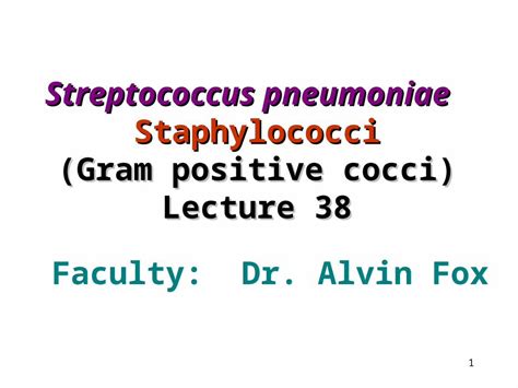 Ppt Streptococcus Pneumoniae Staphylococci Gram Positive Cocci