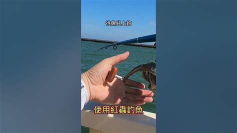 大家注意看 這男人太狠了釣魚山狗大shorts黑點仔遠投沉底 Fishing Youtube