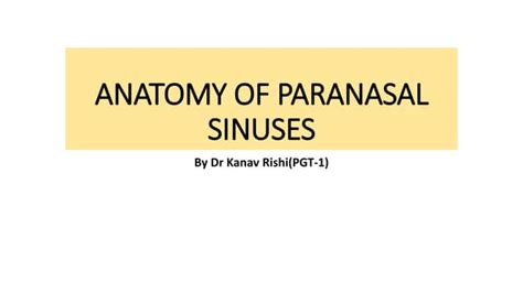 Anatomy Of Nose And Paranasal Sinusespptx