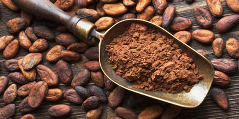 Raw Cacao: Unmatched Health Benefits