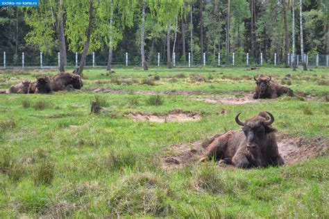 Беларусь. Фото