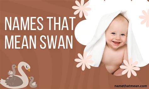 51 Cute Baby Names That Mean Swan | Name That Mean