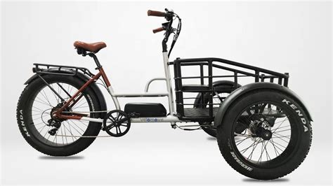 48v 500w Three Wheel Bicycle Cargo Tricycle Front Loading Cargo