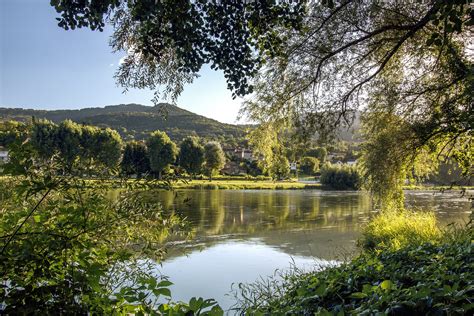 Bildet landskap tre natur villmark blomst innsjø elv dam