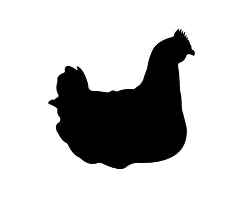 Premium Vector Vector Chicken Silhouette Isolated On White Background