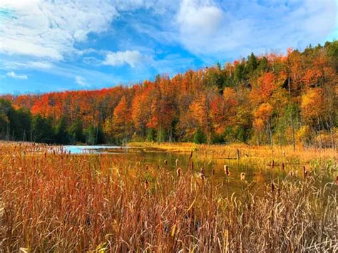 10 Best Hikes And Trails In Mono Cliffs Provincial Park Alltrails