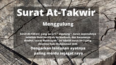 Quran Merdu Surat At Takwir Bacaan Paling Merdu Sejagat Murottal