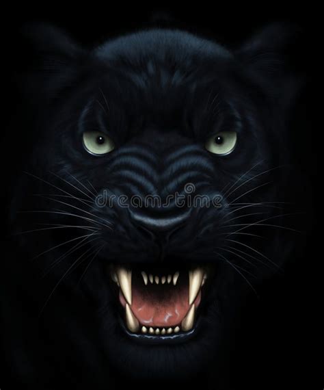 Panther Face Painting Angry Panther Face In Darkness Digital Painting