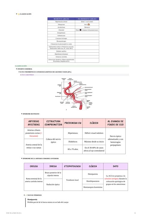 SOLUTION Síndromes neurológicos vasculares Studypool