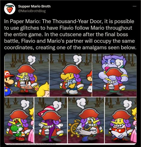 Secret Partner Flavio Paper Mario Know Your Meme