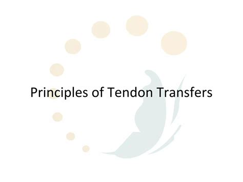 Principles Of Tendon Transfers Ppt