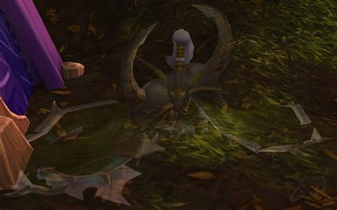 Cordana Felsong - NPC - World of Warcraft