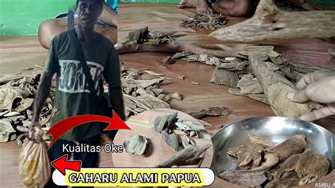 Transaksi Jual Beli Kayu Gaharu Papua Sortir Grade Kelas Kualitas