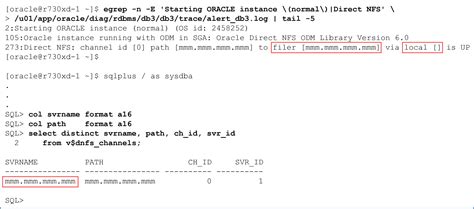 DNFS Without Oranfstab Dell Unity XT Oracle Database Best Practices