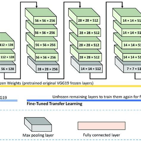 Fine Tuned Transfer Learning For The Vgg19 Model For Rice Leaf Disease Download Scientific