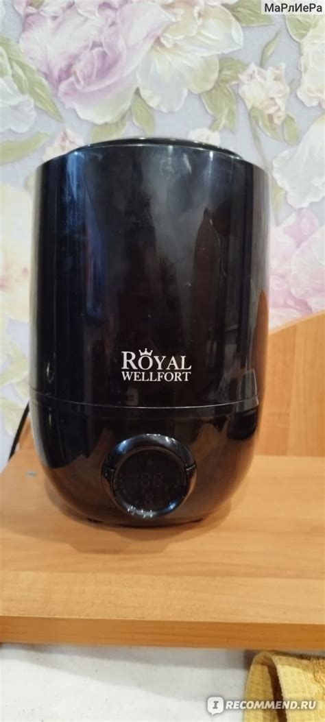 Увлажнитель воздуха Royal Wellfort RKE10 (СИ):12 - «ROYAL WELLFORT ...