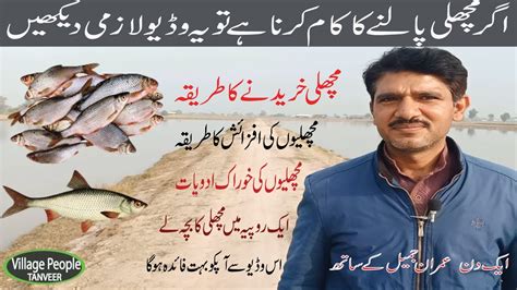 Fish Farming In Pakistan Fish Farming Business How To Start Fish