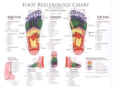 Reflexology Diagram Of The Foot