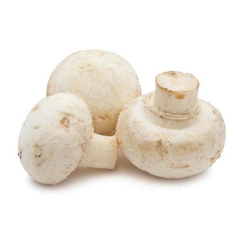 White Button Mushroom at Rs 120/kg | Button Koons in Gurgaon | ID: 25869976773