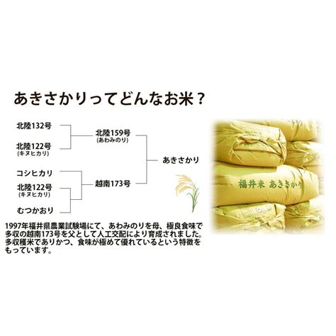 【9月中旬頃まで販売休止】無洗米 10kg 5kg×2袋 あきさかり 福井県産 白米 令和5年産 送料無料 19 5k 2 福井の米屋