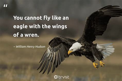 Attitude Eagle Quotes Success Rhionjessica