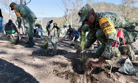 El Ej Rcito Mexicano Y Vecinos Forestan Y Limpian El Parque Del Cerro