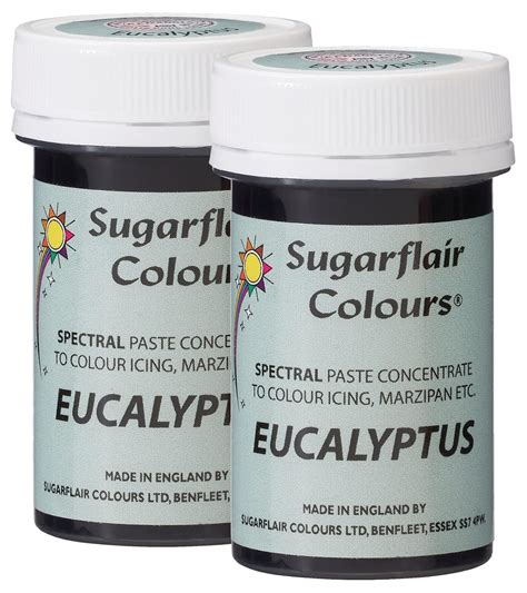 Amazon 2 X Sugarflair 25g Eucalyptus Spectral Paste Gel Edible