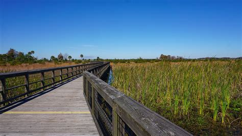 Hiking St Cloud Florida Hikes