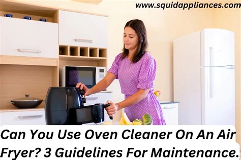 Can You Use Oven Cleaner On An Air Fryer Guidelines For Maintenance