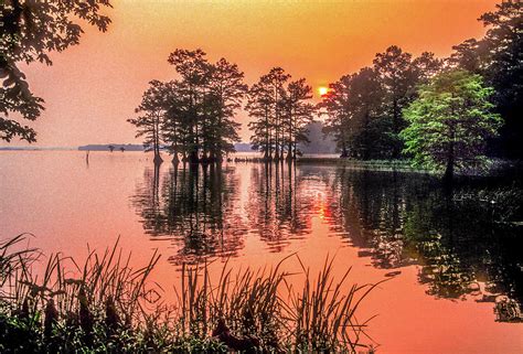 Reelfoot Lake Sunrise Photograph By James C Richardson Fine Art America