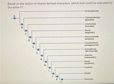 Solved Based on the notion of shared derived characters, | Chegg.com