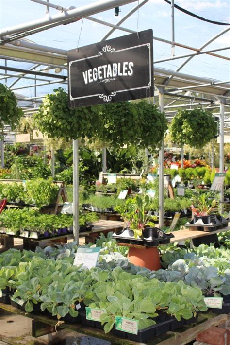 An Indoor Garden Center With Lots Of Plants And Vegetables In Its