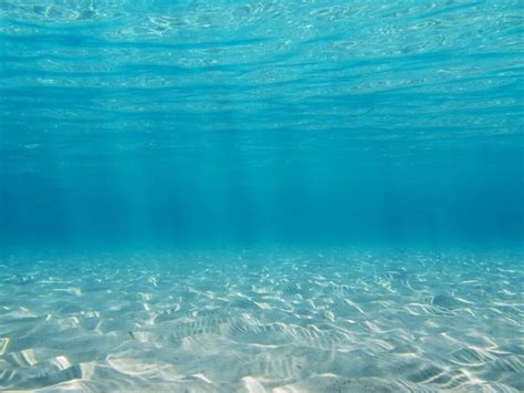 Sandy Seabed With Sunlight Through Water Surface Stock Image Everypixel