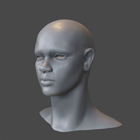 Detailed Female Head African Human Heads Models Blenderkit