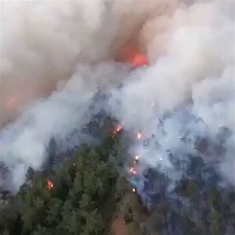 Adana da ormanlık alanda yangın çıktı