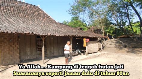 Langka Suasana Kampung Suku Jawa Asli Terpencil Di Tengah Hutan Jati