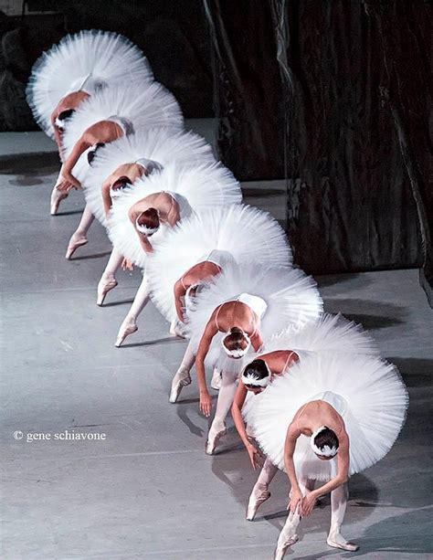 Mariinsky Theater Ballet Corps Saint Petersburg Russia Ballet