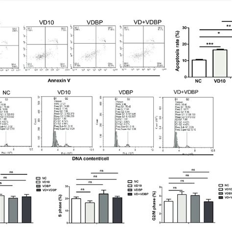 Flow Cytometry Analysis Of Apoptosis And Cell Cycle A Apoptosis