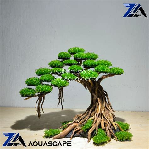 Jual Kayu Pohon Bonsai Aquascape Hiasan Aquarium Cm Shopee Indonesia