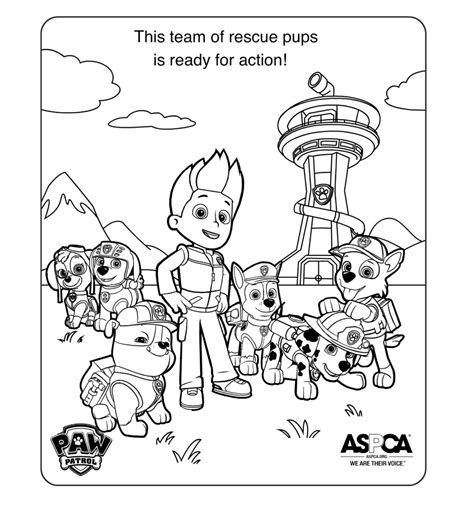 Compartilhar Imagens Imagen Desenhos Para Colorir Patrulha Canina 30550