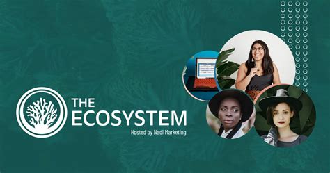 The Ecosystem Sustainable Brand Design Blue Raspberry Design