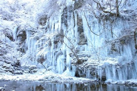 冬 旅行におすすめ！カップルに人気の観光スポット アクティビティジャパン