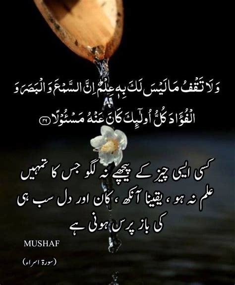 Pin by Ameer Afzaly on مغز قرآن Islamic quotes quran Quran quotes